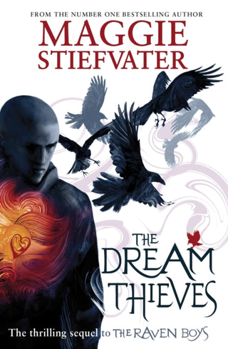 Cover image for 9781407136622 - The Dream Thieves