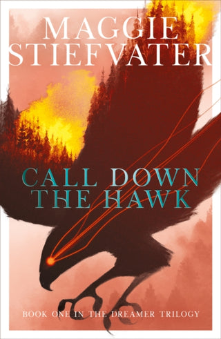 Cover image for 9781407194462 - Call Down the Hawk: The Dreamer Trilogy #1