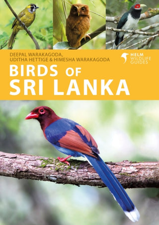Cover image for 9781408110416 - Birds of Sri Lanka