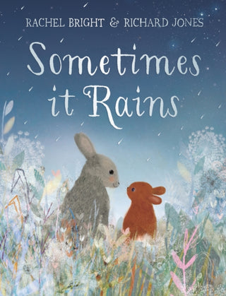 Cover image for 9781408369968 - Sometimes It Rains