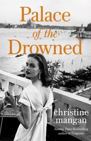 Cover image for 9781408713648 - Palace of the Drowned