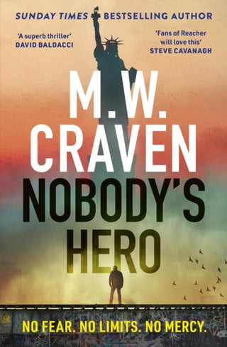 Supplemental image for 9781408717608 - Nobody's Hero