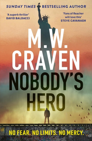 Cover image for 9781408717639 - Nobody's Hero