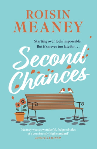 Cover image for 9781408731765 - Second Chances
