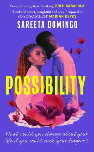 Cover image for 9781408748763 - Possibility