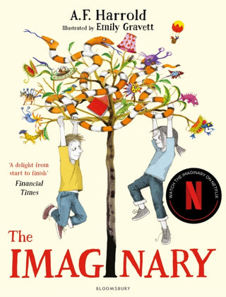 Cover image for 9781408850169 - The Imaginary