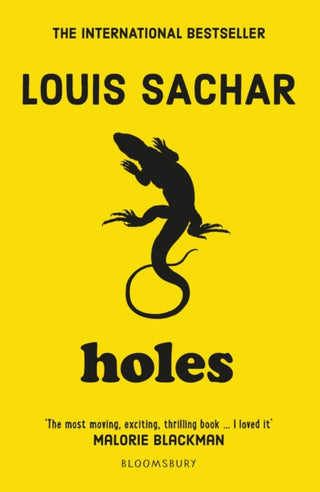 Cover image for 9781408865231 - Holes