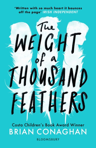 Cover image for 9781408871546 - The Weight of a Thousand Feathers