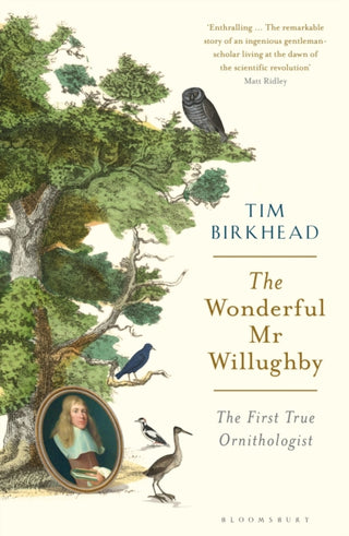 Cover image for 9781408878521 - The Wonderful Mr Willughby