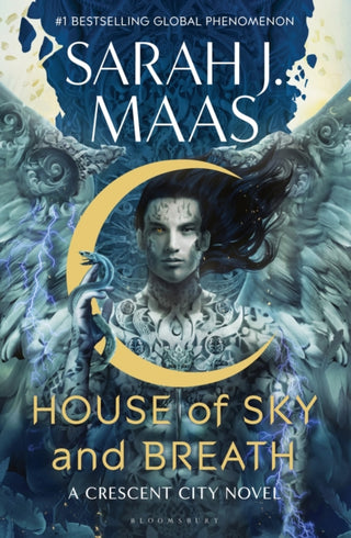 Cover image for 9781408884423 - House of Sky and Breath