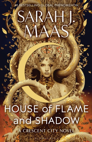 Cover image for 9781408884447 - House of Flame and Shadow