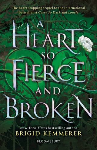 Cover image for 9781408885086 - A Heart So Fierce and Broken