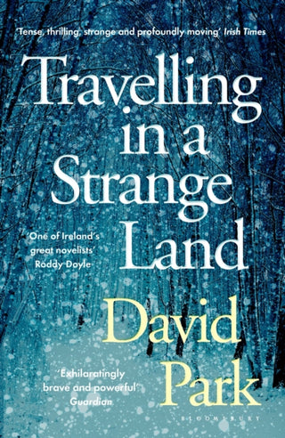 Cover image for 9781408892756 - Travelling in a Strange Land