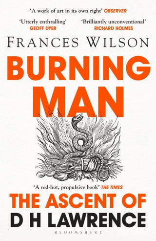 Cover image for 9781408893654 - Burning Man
