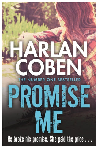 Cover image for 9781409150503 - Promise Me