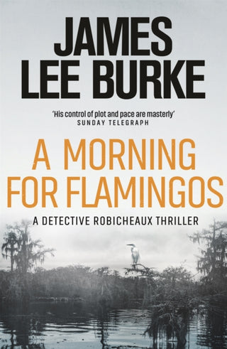 Cover image for 9781409155942 - A Morning For Flamingos