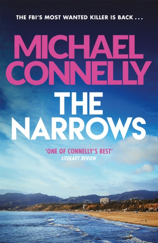Cover image for 9781409157335 - The Narrows