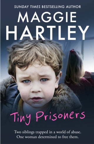 Cover image for 9781409165354 - Tiny Prisoners