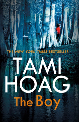 Cover image for 9781409169642 - The Boy