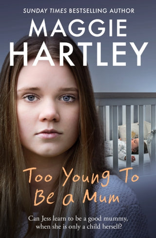 Cover image for 9781409170532 - Too Young to be a Mum