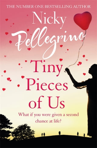 Cover image for 9781409179009 - Tiny Pieces of Us