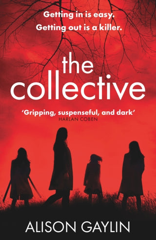 Cover image for 9781409179085 - The Collective