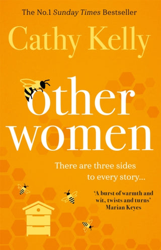 Cover image for 9781409179283 - Other Women