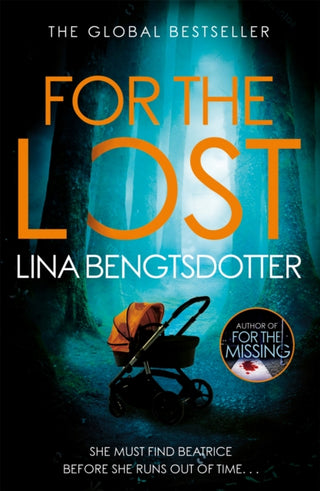 Cover image for 9781409179412 - For the Lost