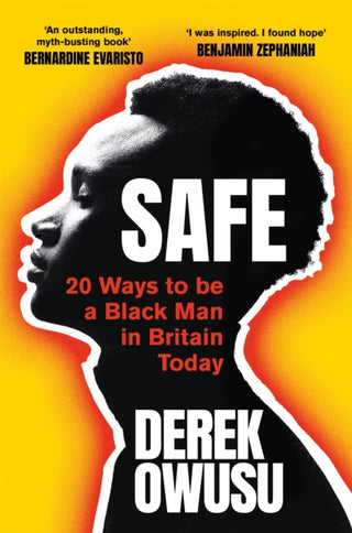 Cover image for 9781409182641 - Safe