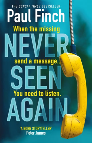 Cover image for 9781409184041 - Never Seen Again