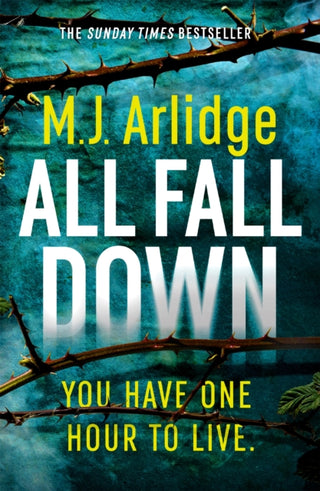 Cover image for 9781409188421 - All Fall Down