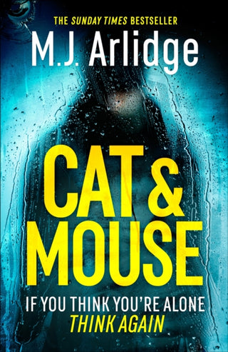 Supplemental image for 9781409188520 - Cat And Mouse