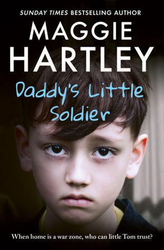 Cover image for 9781409189022 - Daddy's Little Soldier