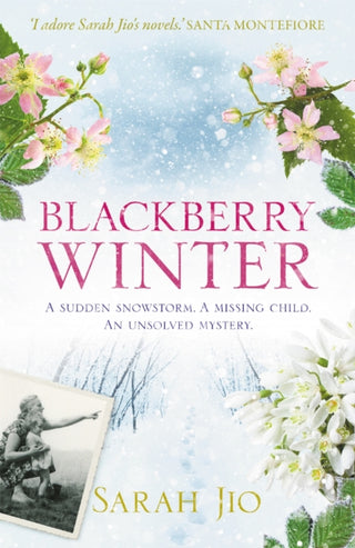 Cover image for 9781409190776 - Blackberry Winter
