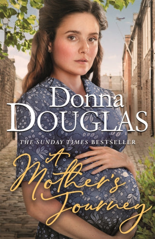 Cover image for 9781409190899 - A Mother's Journey