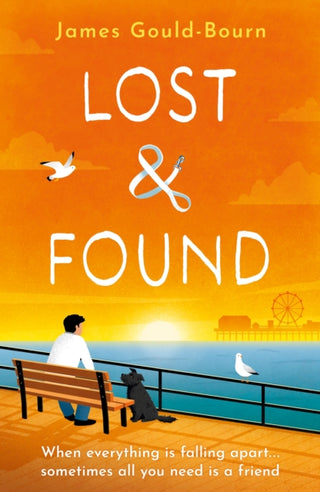 Cover image for 9781409191322 - Lost & Found