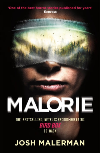 Cover image for 9781409193142 - Malorie