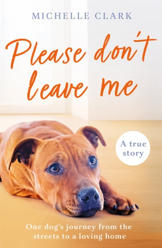 Cover image for 9781409195450 - Please Don't Leave Me