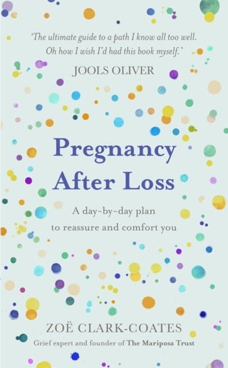 Cover image for 9781409195948 - Pregnancy After Loss