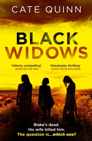 Cover image for 9781409196976 - Black Widows