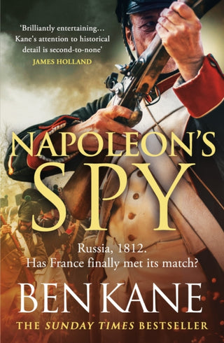 Cover image for 9781409197911 - Napoleon's Spy