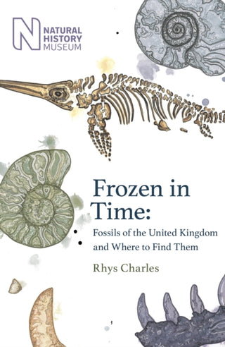 Cover image for 9781409197966 - Frozen in Time
