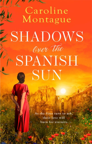 Supplemental image for 9781409198079 - Shadows Over the Spanish Sun