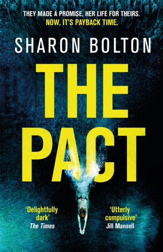 Cover image for 9781409198321 - The Pact