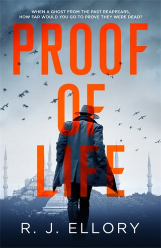Cover image for 9781409198567 - Proof of Life