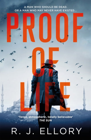 Supplemental image for 9781409198574 - Proof of Life