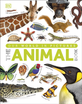 Cover image for 9781409323495 - The Animal Book