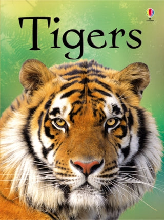 Cover image for 9781409530671 - Tigers
