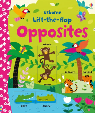 Cover image for 9781409582588 - Lift-the-flap Opposites