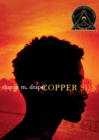 Cover image for 9781416953487 - Copper Sun